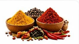 Indian spices and masala